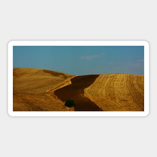 Sicily. Fields XXIII. 2011 Sticker